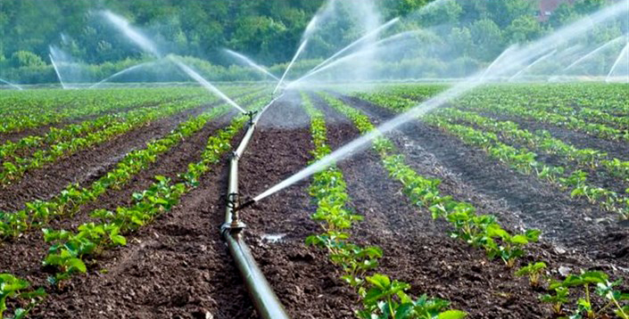 راندمان آب کشاورزی